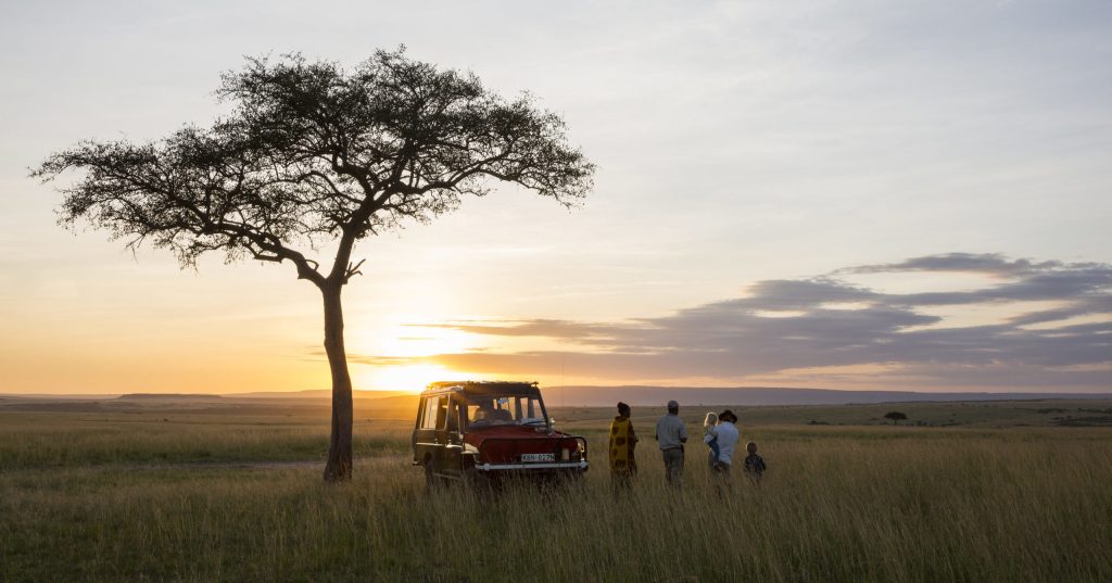 Photography Tips for Safari: Capturing the Perfect Shot